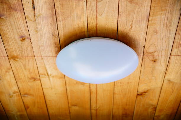 led oyster light