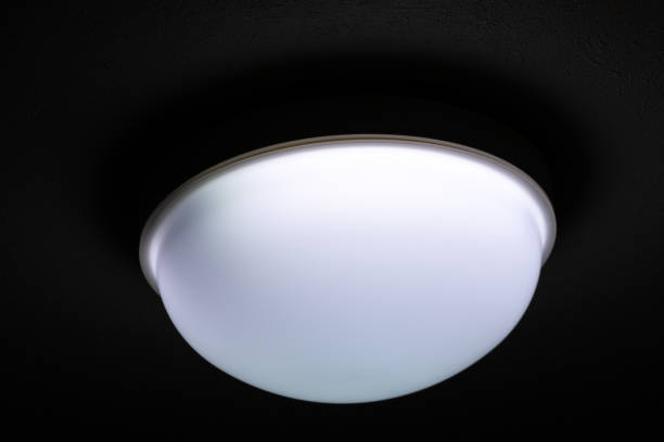 oyster light